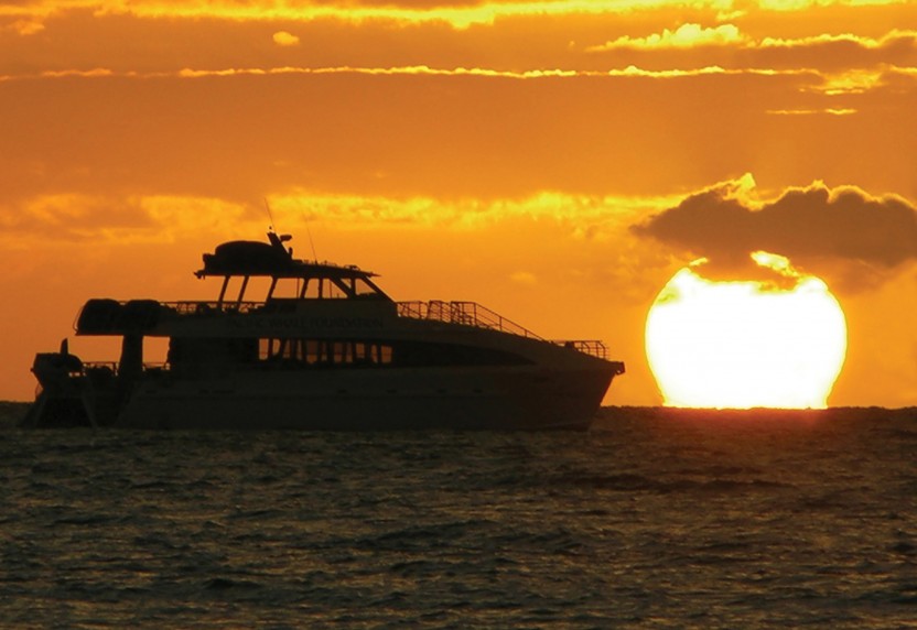 Dinner Cruise from Maʻalaea Harbor - Premium Seating