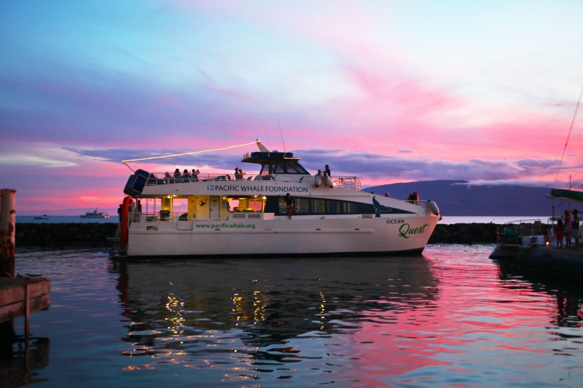 Dinner Cruise from Maʻalaea Harbor - Premium Seating