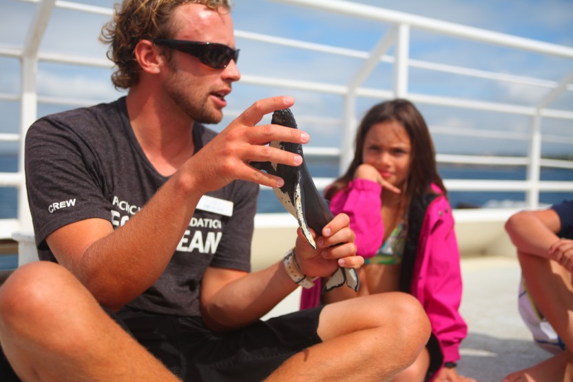Exclusive Whale Watch with the Experts from Ma'alaea