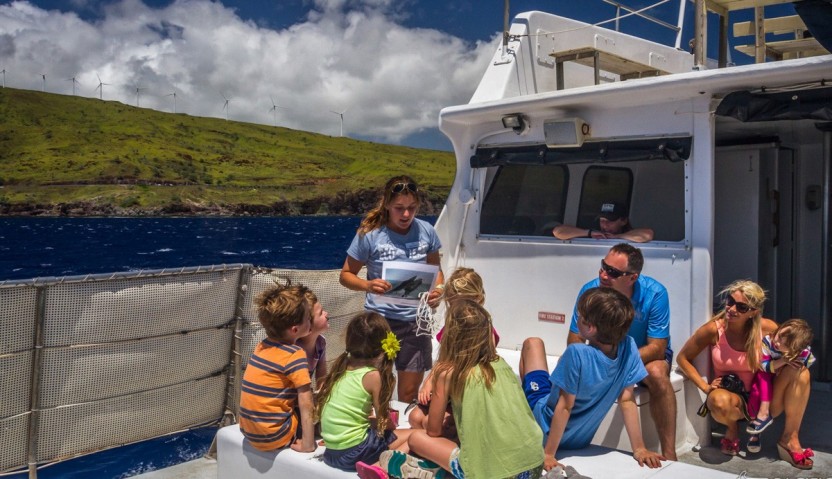 Ultimate Whale Watch from Ma’alaea