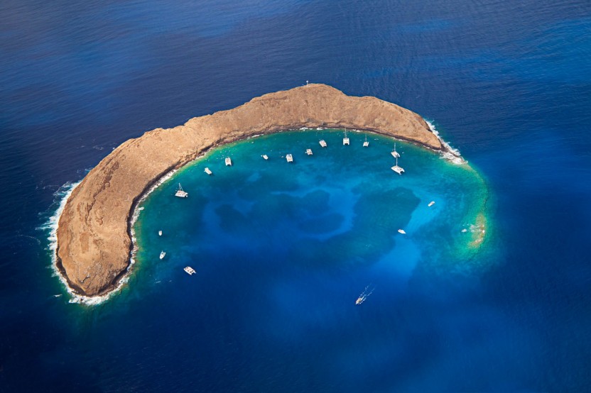Molokini & Turtle Arches Snorkel