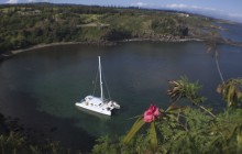 Honolua Bay Snorkel & Sail from Lahaina