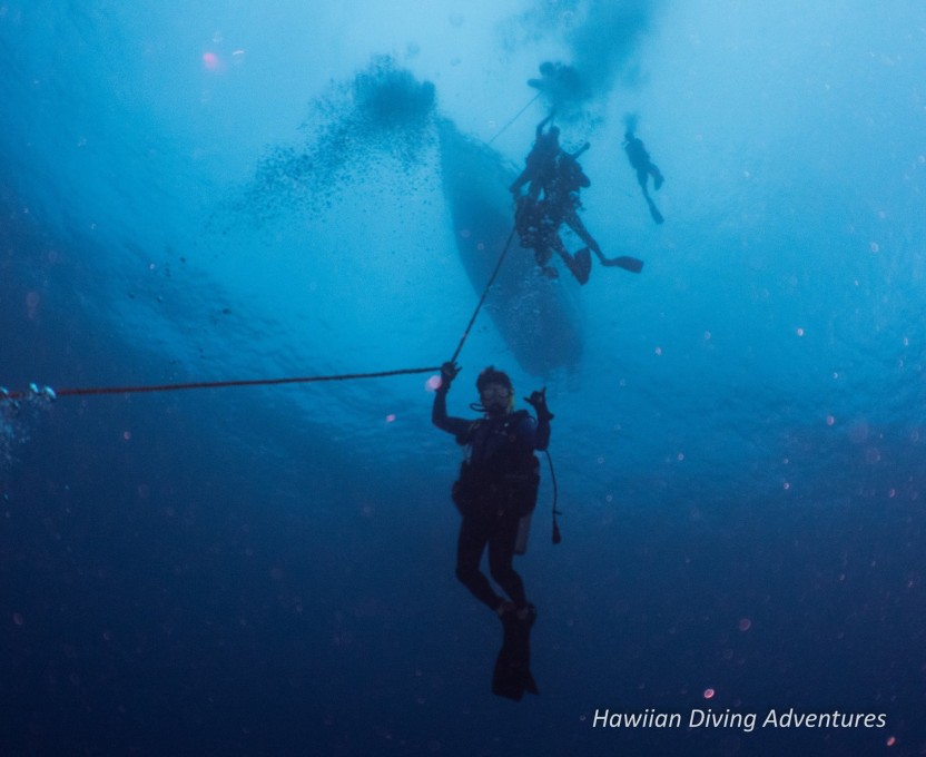 Deep Wreck & Reef Scuba Dives