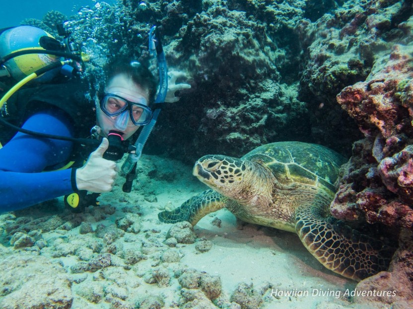 First Time Diving for Beginners