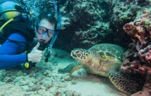 Hawaiian Diving Adventures
