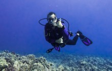 Hawaiian Diving Adventures