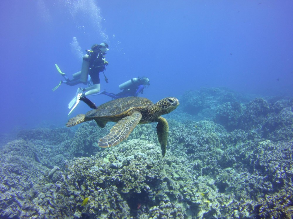 2 Tanks Scuba Dive Kawaihae Project Expedition