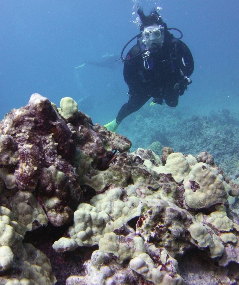 2 Tanks Scuba Dive Kawaihae Project Expedition