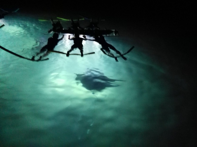 Kona Manta Ray Night Snorkel Tour (Manta Guarantee Policy)