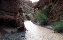 Arizona ATV Adventures - Phoenix3