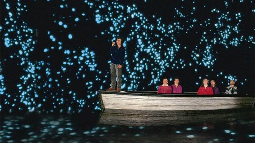 Hobbiton Movie Set & Waitomo Glow Worm Cave (Private Transport)