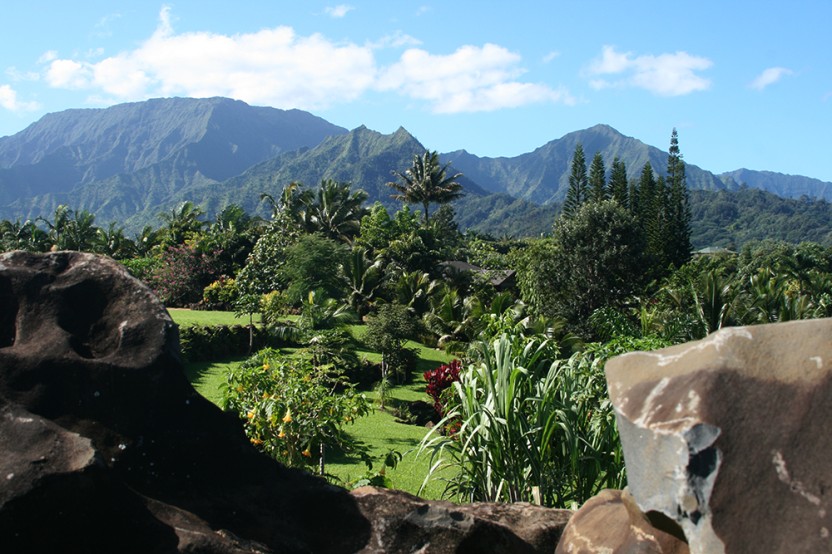 3-Hour Walking & Chocolate Tasting Tour