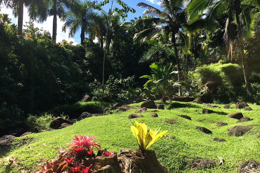 3-Hour Walking & Chocolate Tasting Tour