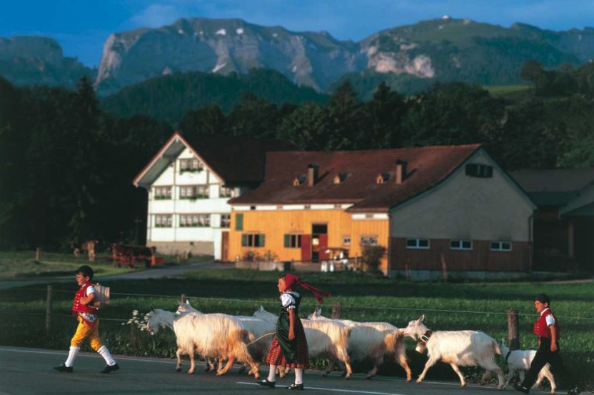 Appenzell- Mountain, Farm Visit & Cheese Tasting