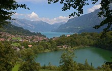 Grindelwald & Interlaken From Zurich