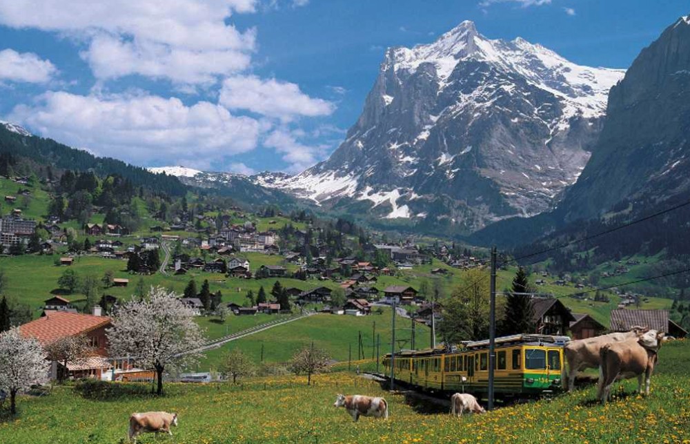 Grindelwald & Interlaken From Zurich Zurich Project Expedition
