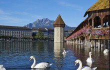 Best of Switzerland Tours AG