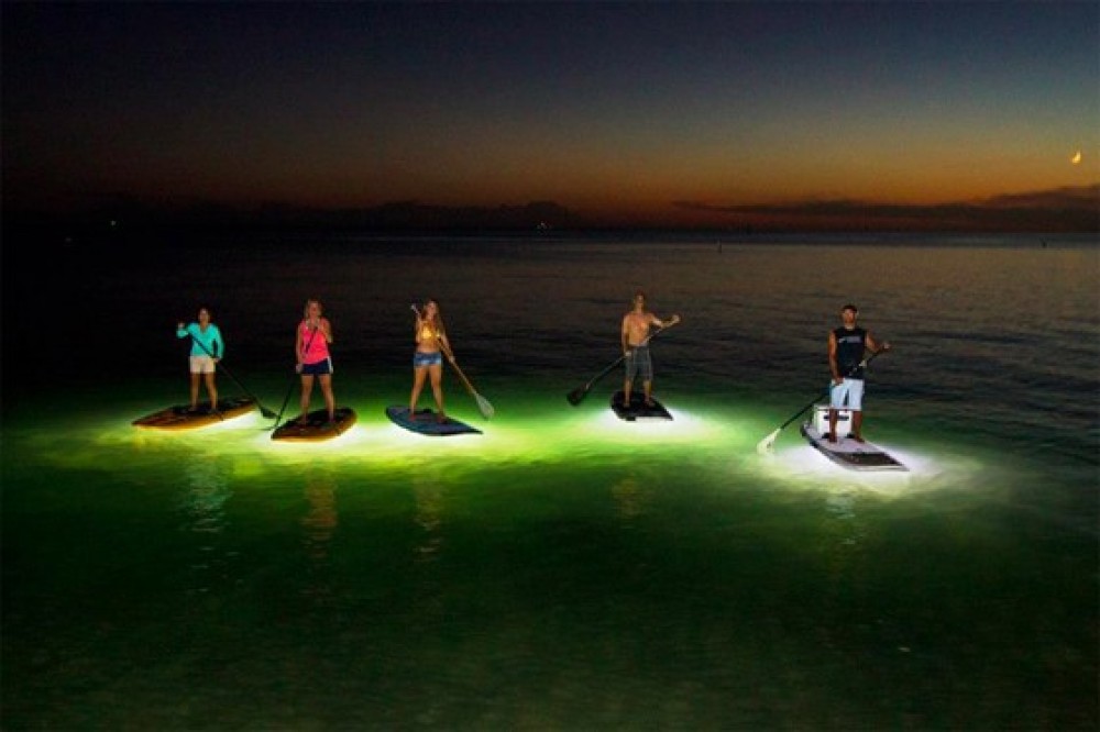 Light The Night (Stand Up Paddle Boarding) Vancouver Project Expedition
