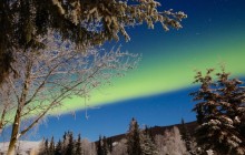 Salmon Berry Travel & Tours54