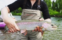 Salmon Berry Travel & Tours81