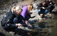 Salmon Berry Travel & Tours89