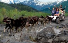 Salmon Berry Travel & Tours91