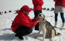 Salmon Berry Travel & Tours94