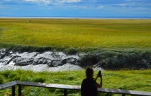 Salmon Berry Travel & Tours96