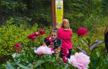 Salmon Berry Travel & Tours99