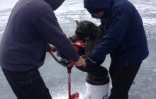 Salmon Berry Travel & Tours109