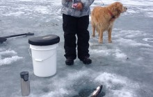 Salmon Berry Travel & Tours110