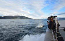 Salmon Berry Travel & Tours113