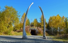 Salmon Berry Travel & Tours133