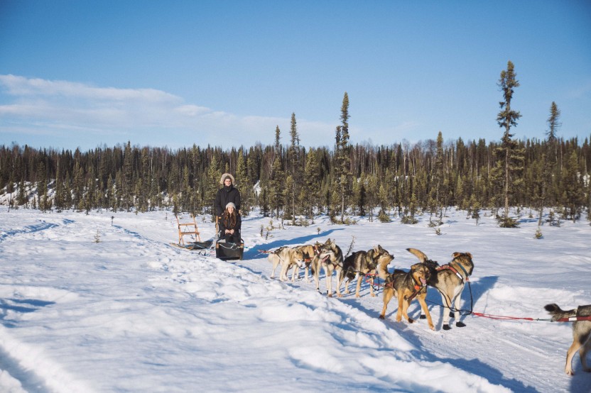 Winter Dog Sledding