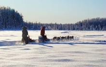 Winter Dog Sledding
