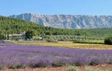 Planet Provence