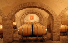 Private Wine Tour in Châteauneuf du Pape