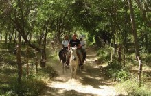 Horseback Riding To South Sierra Madre Hot Springs