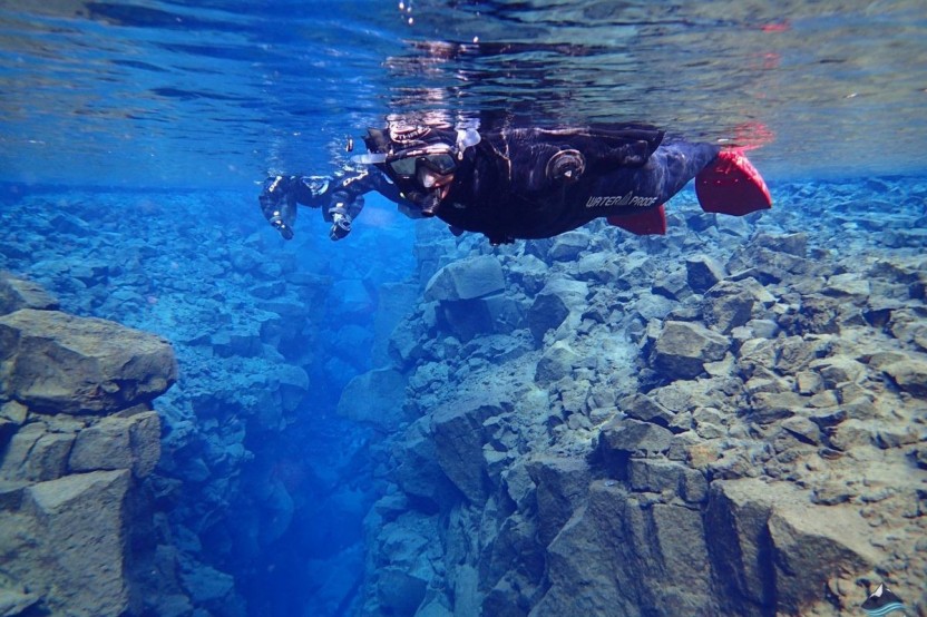 Into the Blue: Silfra Fissure Snorkeling from Thingvellir