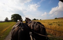 1 Day Tour To Philadelphia and The Amish Country