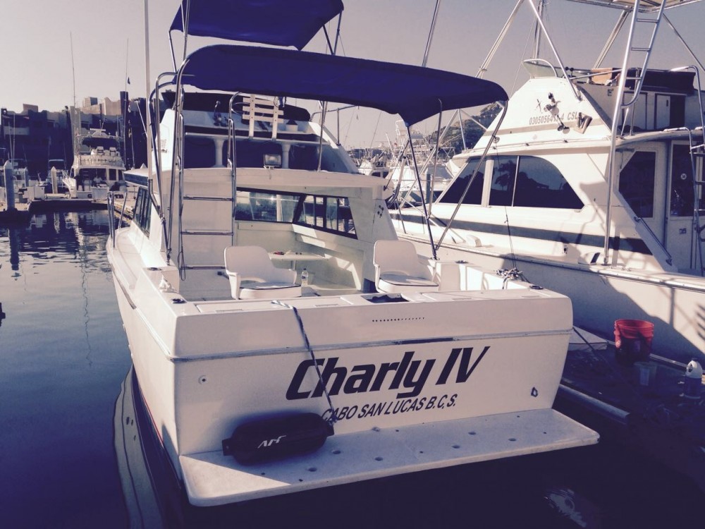 28' Custom Cabin Cruiser Private Charter - Cabo San Lucas ...