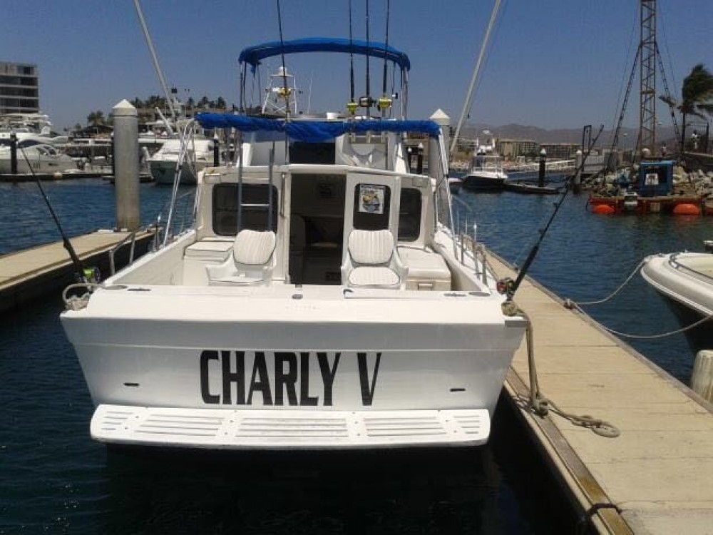 33' Custom Cabin Cruiser Private Charter - 6 Pax