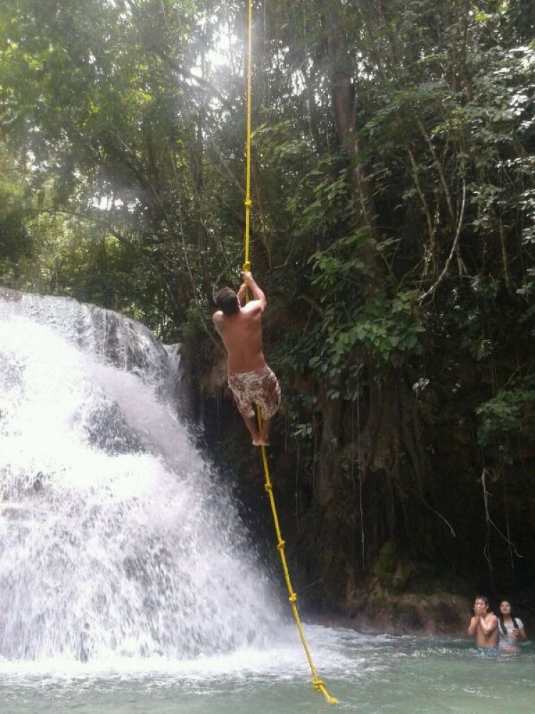 Forest, Coffee And Crystalline Waterfalls In Llano Grande - Puerto ...