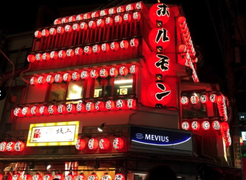 Absolute Osaka Food Tour - English