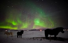 Icelandia423