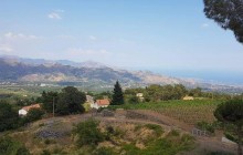 Gambio Winery and Etna Vineyard Tour