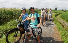 E-Bike Cycle: South Ubud Nature & Villages