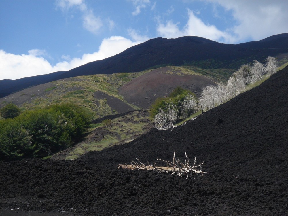 Full Day Tour to Etna Volcano from Palermo Palermo Project Expedition
