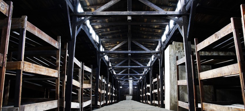 Auschwitz-Birkenau Memorial & Schindler’s Factory Museum Tour