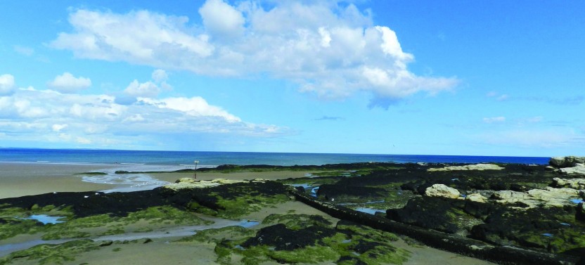 St Andrews & The Fishing Villages Of Fife from Edinburgh